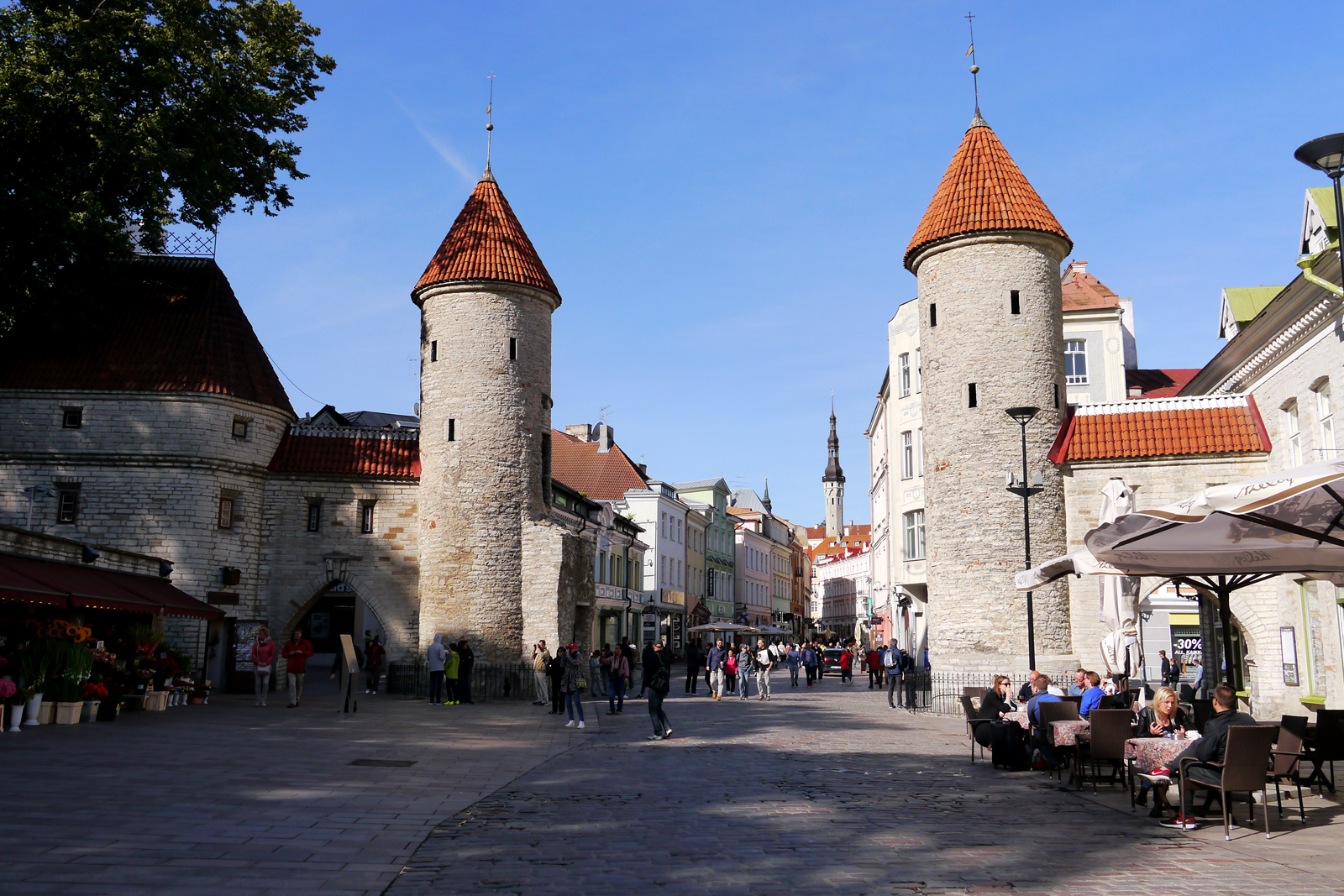 Die Altstadt von Tallinn, Estland.